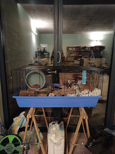 Hamster cage