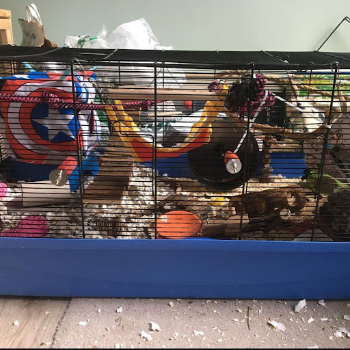 Hamster cage