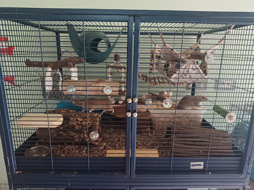 Hamster cage